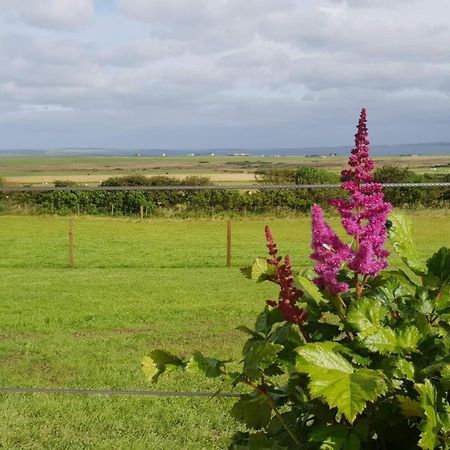Lilly'S Lodges Orkney Butterfly Lodge Finstown Экстерьер фото